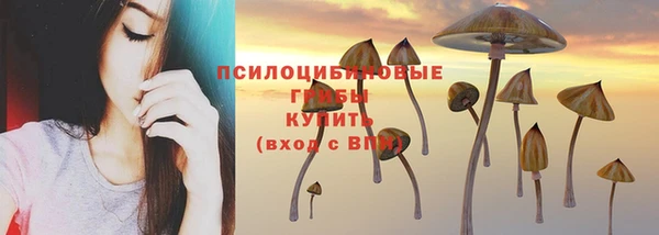 ECSTASY Абдулино
