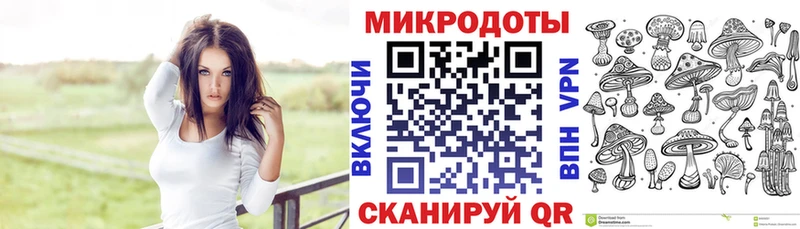 Галлюциногенные грибы Psilocybine cubensis даркнет сайт Волгоград